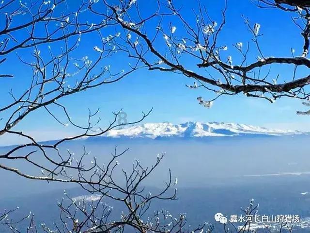 解惑蜗牛,想问问你们。想跟她说话。想她面前走来走去。 看到他看帅哥不开心。 我是个男的?问答平台